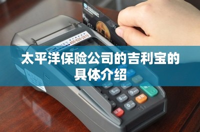 太平洋保險(xiǎn)“吉利寶”電子支付系統(tǒng) 一站式保險(xiǎn)服務(wù)與便捷支付的融合創(chuàng)新